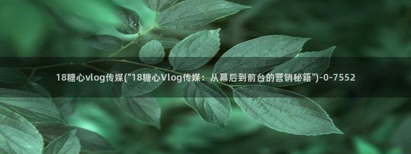 糖心vlog蜘蛛