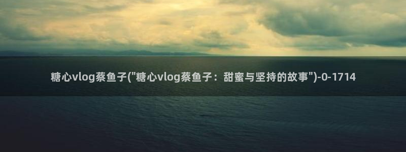 糖心vlog进不去