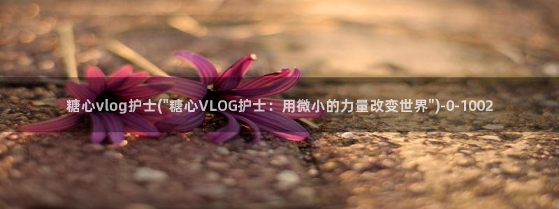 糖心vlog收益