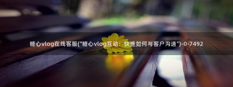 糖心vlog加速器