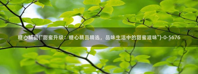 糖心vlog免费破解：糖心精品(\