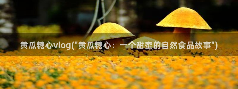 不见星空糖心vlog：黄瓜糖心vlog(\