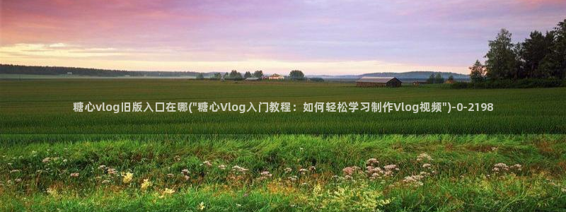 糖心. vlog