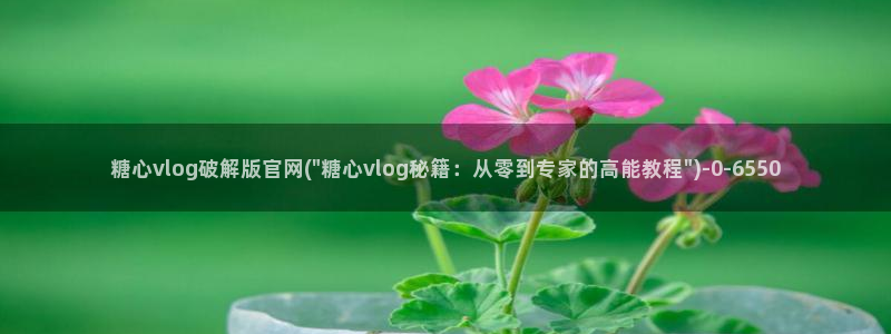 什么是糖心vlog
