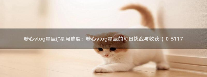 糖心vlog下载官网