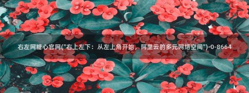 心糖vlog破解版入口