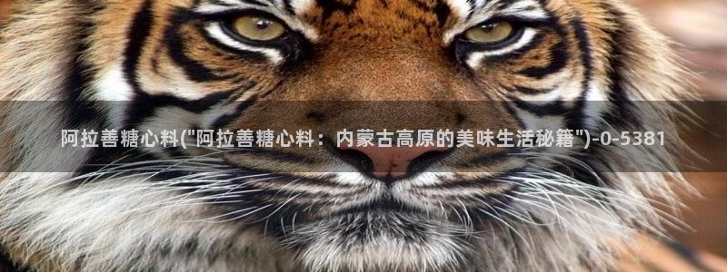 糖心vlog破解免费