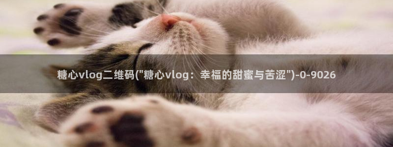 糖心vlog一区二区三区