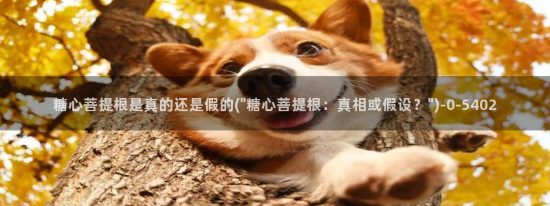 糖心vlog导航
