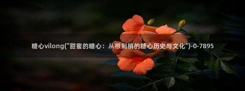 糖心vlog深夜释放自己
