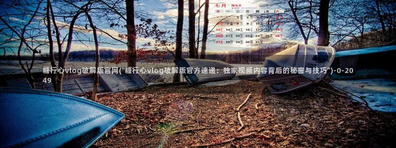 糖心vlog破解版无限vip