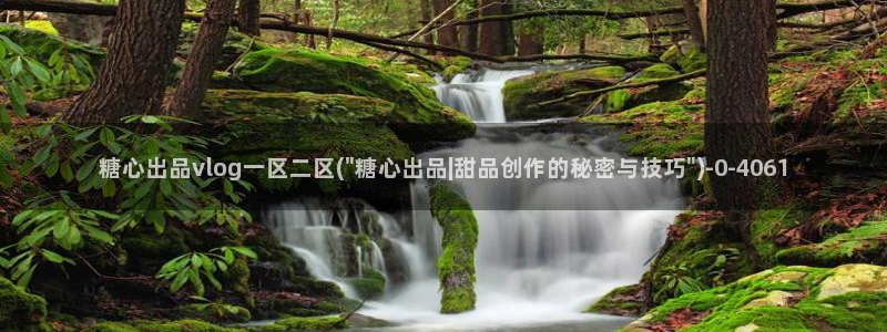 糖心vlog官网网站