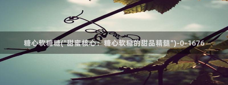 糖心vlog最新版本