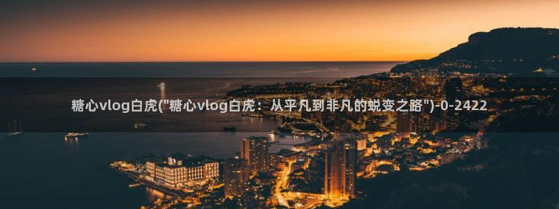糖心vlog精品