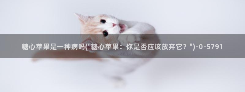 糖心vlog破解版v3.3.0