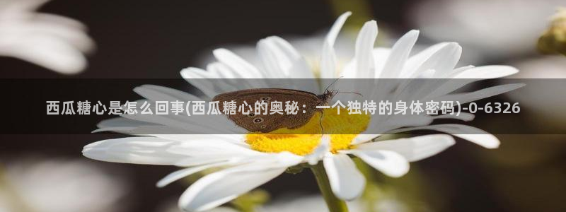 心糖vlog 破解版