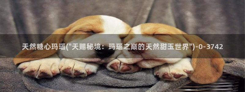 糖心动漫vlog官网观看